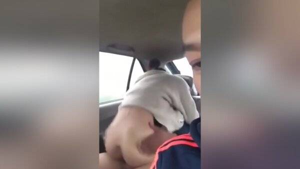 Asian Schoolgirl Fucked In The Back Of The Car on girlsasian.net