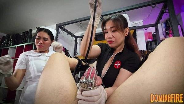 Asian Domina Deep Sounds Sissy Slave in Chastity - Extreme CBT & Urethral Play on girlsasian.net