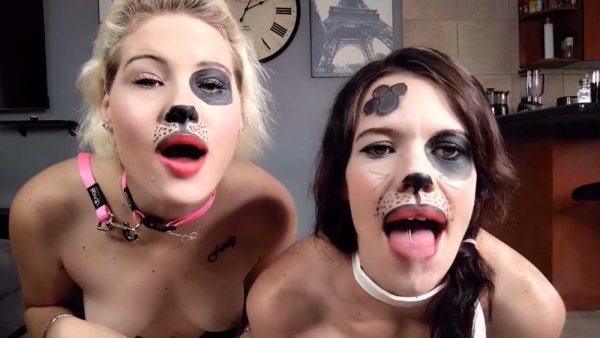 Blonde and brunette in dog masks tease in the kitchen with collars and tongues out on girlsasian.net
