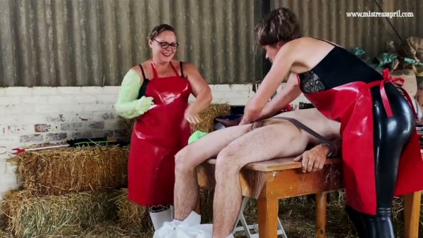 Dominatrix April puts her restrained male sub through intense electro and cock torture - Germany on girlsasian.net